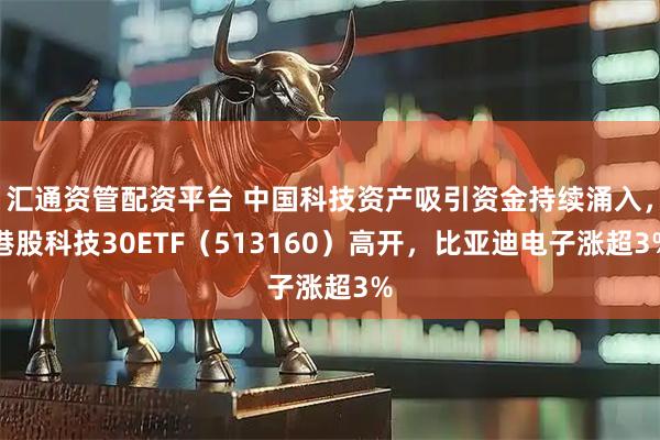 汇通资管配资平台 中国科技资产吸引资金持续涌入，港股科技30ETF（513160）高开，比亚迪电子涨超3%